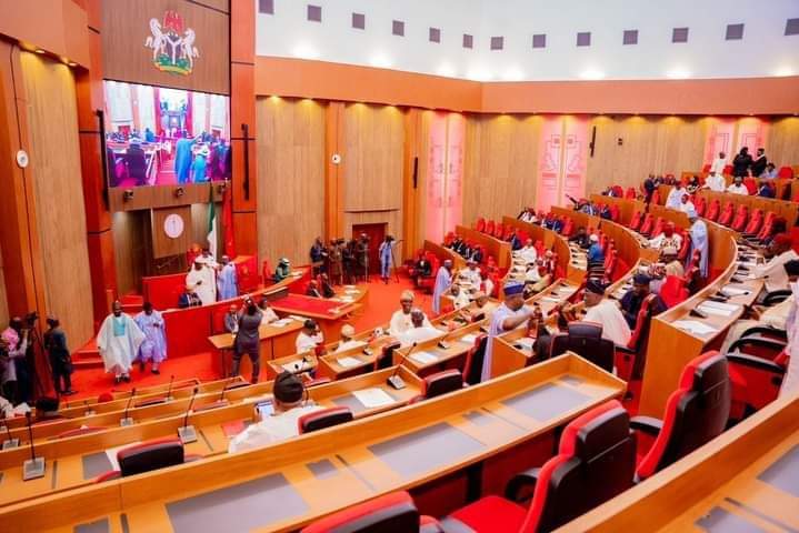NASS to send joint committee to South Africa over xenophobic attacks on Nigerians